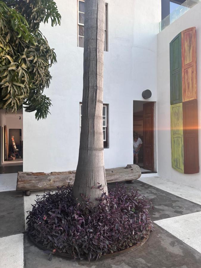 لوس يانوس دي أريداني Villa Mamita المظهر الخارجي الصورة