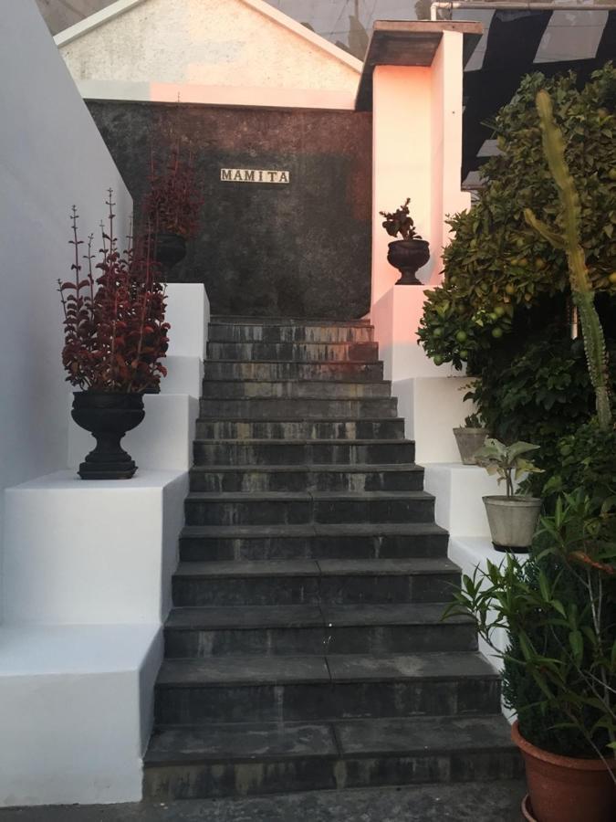 لوس يانوس دي أريداني Villa Mamita المظهر الخارجي الصورة